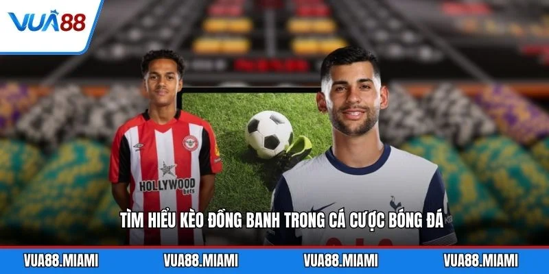 Kèo Đồng Banh - Cách Đọc Và Soi Kèo Chuẩn Xác 2 Tìm hiểu kèo đồng banh trong cá cược bóng đá